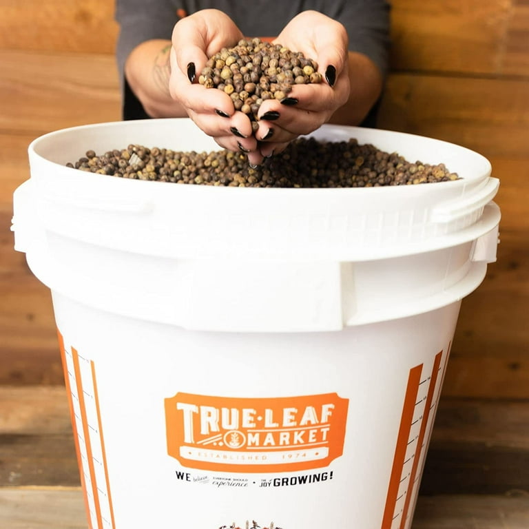 5 Gallon Bucket with Easy On Off Ratchting Lid 1 Bucket HDPE