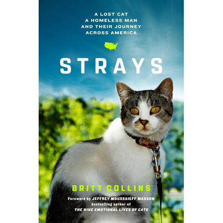 Strays : A Lost Cat, a Homeless Man, and Their Journey Across (Best Way To Catch A Stray Cat)