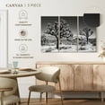 thumbnail image 4 of Elephant Stock Famous Joshua Trees Wall Art - Horizontal Multi Panel Canvas - Hallway Wall Decor - Floral And Botanical Multi Panel - Black And Gray Decor By Philippe Hugonnard - 50" x 32", 4 of 4