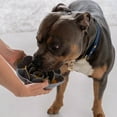 thumbnail image 3 of Dexypaws: Flower Slow Feeder - Grey - Dog & Pet Mealtime Accessory, Fits Into Most 8" Bowls, Suction Base, Safe & Non-Toxic, Food-Grade Silicone, 3 of 6