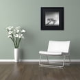 thumbnail image 4 of Trademark Fine Art "Reverencia" Canvas Art by Moises Levy Black Matte, Black Frame, 4 of 5
