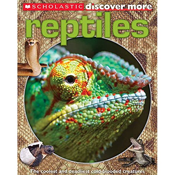 Pre-Owned Scholastic Discover More: Reptiles (Flexibound) 0545505097 9780545505093