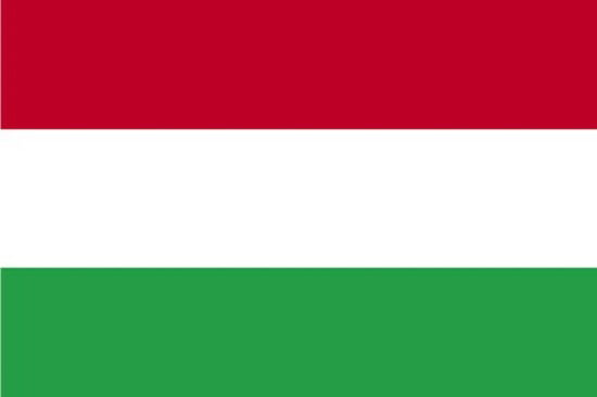 Hungary 5ft x 3ft Flag National Hungarian Europe Flag with Sleeve 