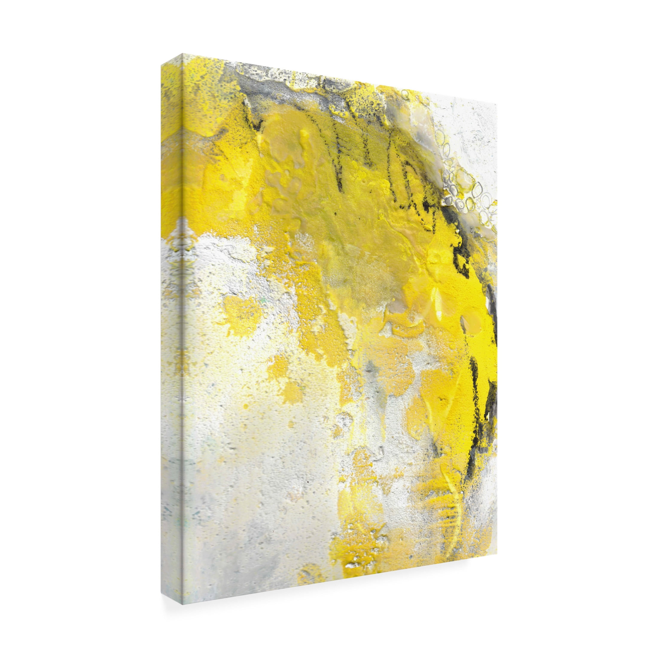 Canvas Wall Art - Deb Chaney 'Reclaiming Ii Of Ii' Wall Art for Living Room, Bedroom, or Office Décor by Trademark Fine Art - 18 x 24 Inches