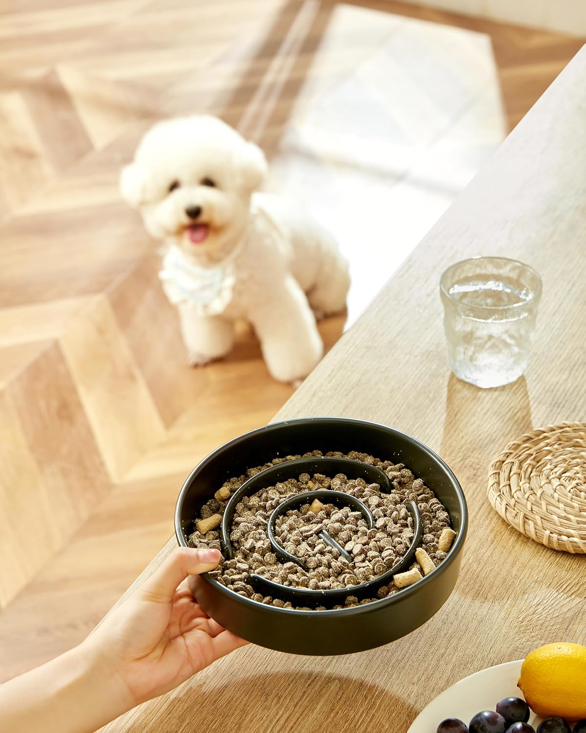 Ceramic Slow Feeder Dog Bowls, 2.0 Cups Slow Feeder for Medium Dogs, Puzzle Maze Bowl to Slow Down Eating, 30oz, 8in, Black