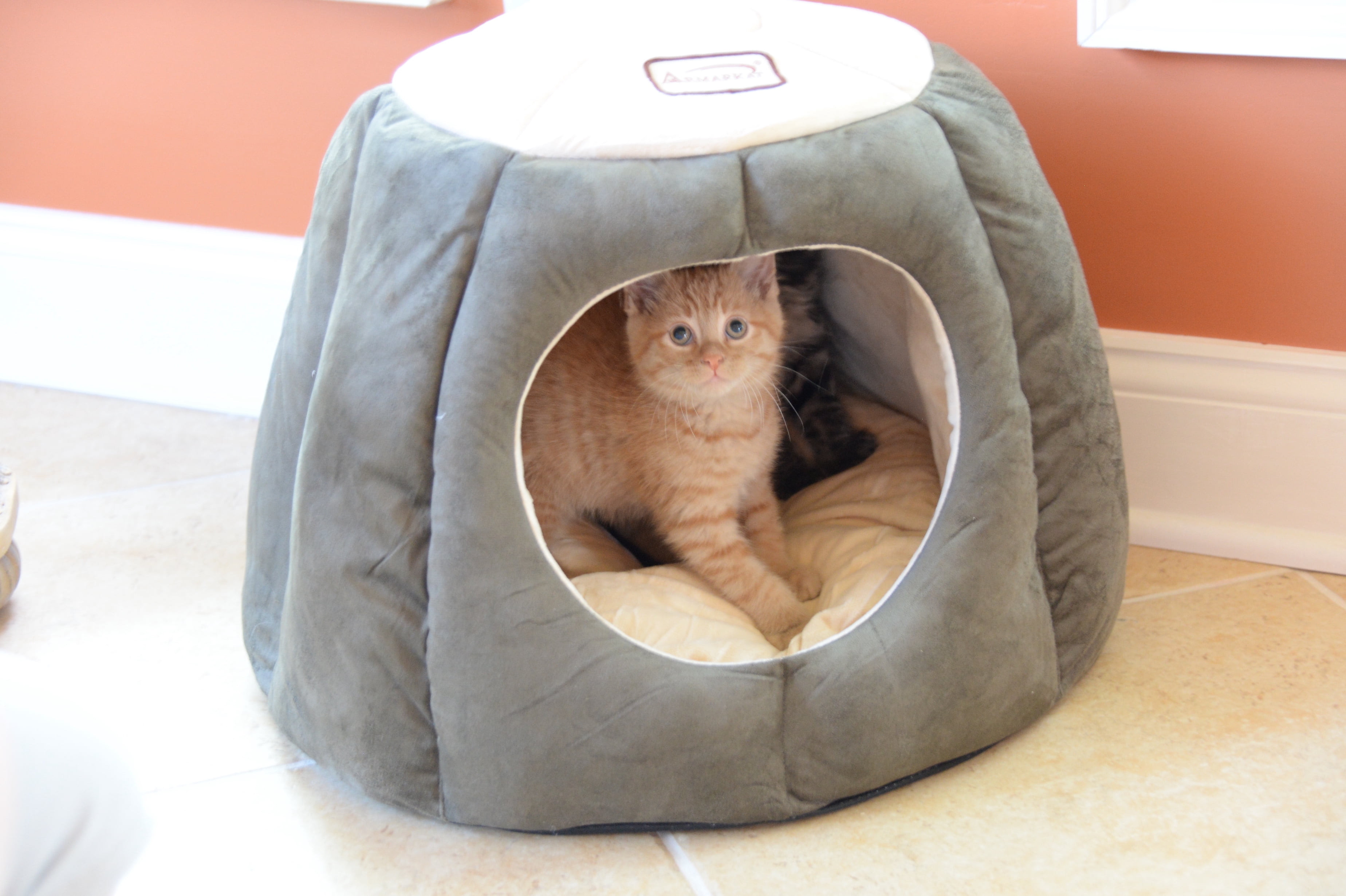 Armarkat, Medium, Cave Cat Bed, Laurel Green & Beige, 20-in