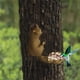 thumbnail image 1 of ¡Oferta Exclusiva!, Comedero para pájaros para exteriores Comedero para montaje en pared Suministros para mascotas Comedero para mascotas Akmoler, 1 of 6