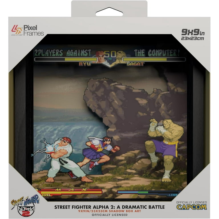 Pixel Frames Street Fighter Alpha 2: A Dramatic Battle 3D