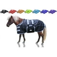thumbnail image 5 of Derby Originals No Hardware Winter Foal Mini Turnout Blanket 600D Medium Weight, 5 of 5