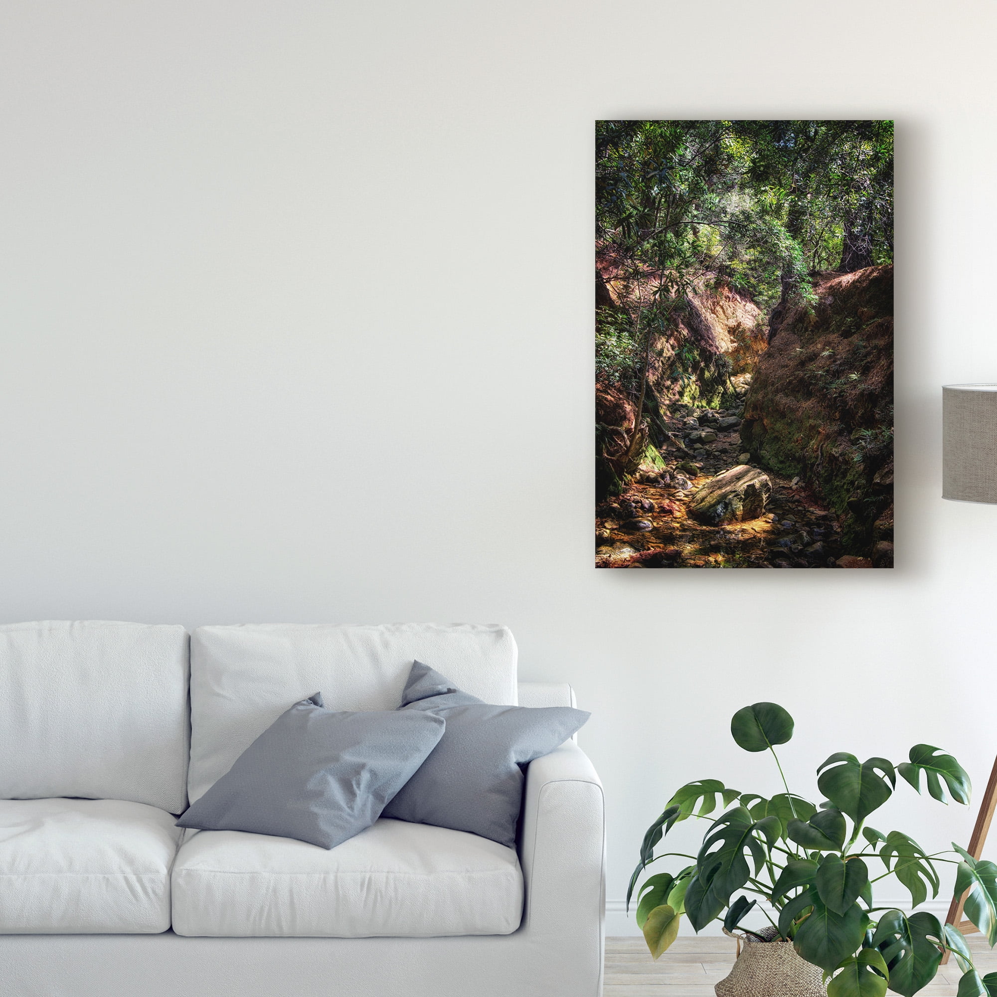 Trademark Fine Art 'Brush Forest Path' Canvas Art by Pixie Pics