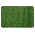 thumbnail image 1 of HLONK Artificial Grass Turf Indoor Outdoor Rug 70x45cm, 1 of 10
