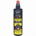 thumbnail image 1 of AA PS PSPRAY VICLAP - FRENCH, 1 of 1