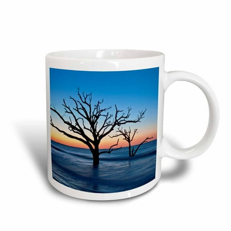 Carolina Game Day Ceramic - 3dRose USA, South Carolina, Edisto Island, Botany Bay, Boneyard Beach Dawn., Ceramic Mug, 15-ounce