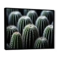 thumbnail image 2 of Designart "Green White Cactus Sublime Simplicity" Floral Floater Framed Canvas Wall Art, 2 of 7