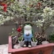 thumbnail image 4 of Estatua De Jardín De Ranas Divertidas Maceta de flores suculentas de rana, decoración de jardín de rana bonita, creativa para decoración interior y exterior, 4 of 7