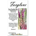 Big Pack (200,000+) STF9 Foxy Excelsior Mix Flower Seeds Purpurea