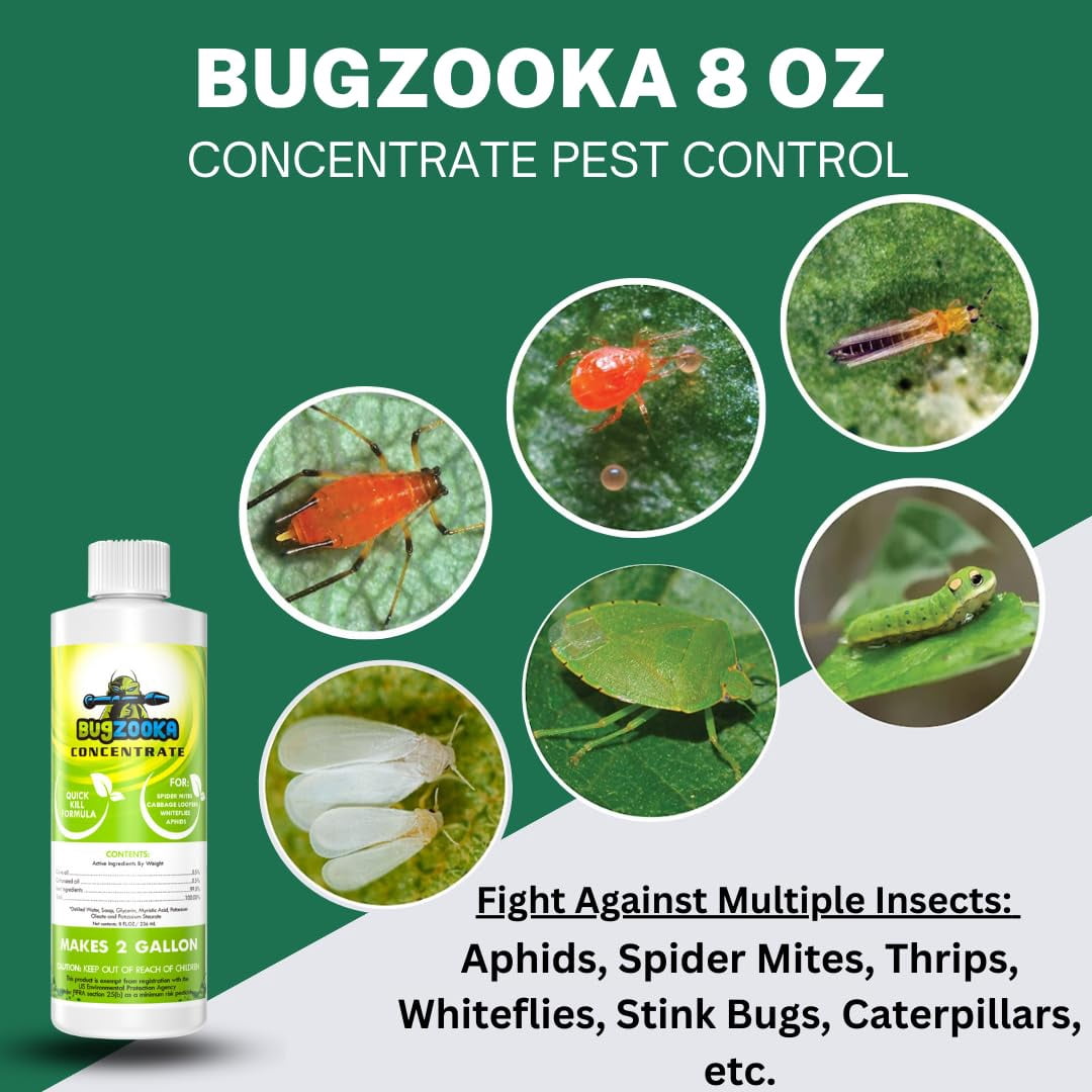 BugZooka 8oz Concentrate: Makes 2 Gallons of pest Control with All Natural Ingredients. Prevents Ants, Spiders, miticides, Pesticides, and Fungicide. Also,can be Applied to All Stages of Crops, USDA