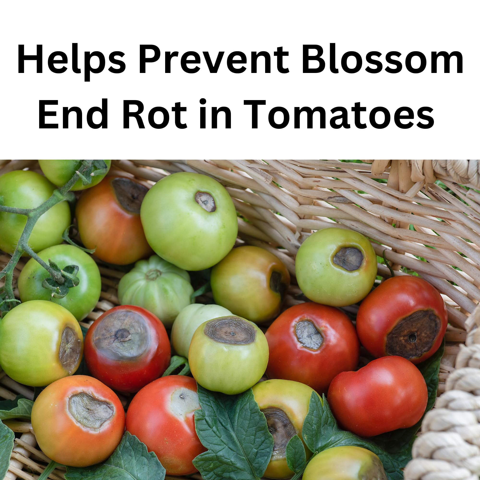 Hi-Yield (32128 ) Ammonium Calcium Nitrate 15-0-0, Helps Precent Blossom End Rot in Tomatoes (3.25 lbs.)