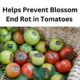 thumbnail image 3 of Hi-Yield (32128 ) Ammonium Calcium Nitrate 15-0-0, Helps Precent Blossom End Rot in Tomatoes (3.25 lbs.), 3 of 3
