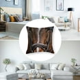thumbnail image 5 of nygtbtfer Throw Pillow Covers, Couch Pillows Covers, Set of 2 Throw Pillow Cases, Horse Animal, Decorative Throw Pillow Covers, Pillow Cover White, 5 of 7