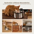 thumbnail image 2 of Smartoo Wireless Cat Water Fountain – Stainless Steel, 152 oz / 4.5 L | Cordless, Battery Operated with Motion Sensor & Ultra Quiet Pump for Cats & Dogs, 2 of 7