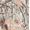 Light Birch, variant on Swim Trunks, 5" Inseam, Men's S-5XL