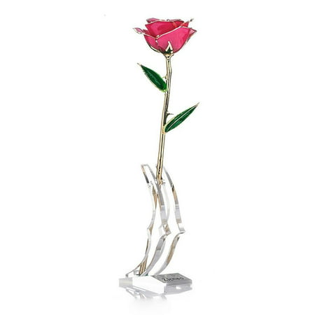 Yosoo 24K Gold Dipped Rose, Gifts for Her Anniversary Valentine’s Day Christmas to Mom, Wife, Girlfriend, Women's Best (Best White Queso Dip)