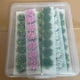 thumbnail image 5 of Modelo de de hierba, grupo de vegetación, arbustos artificiales de tierras bajas arrancados a mano, simulación de grupo de hierba para, 5 of 9