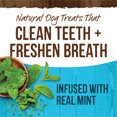 thumbnail image 2 of Merrick, Fresh Kisses Brush - Mint - Dog Treat, 2 of 5