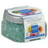 Renuzit Neutralizer After the Rain Air Freshening Pearl Scents, 3.52 Oz.