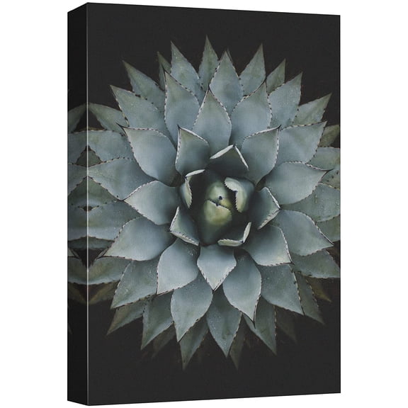wall26 Canvas Print Wall Art Close Up Dark Pastel Blue Southwest Succulent Nature Wilderness Photography Realism Floral Botanical Multicolor for Living Room, Bedroom, Office - 12"x18"