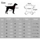 thumbnail image 1 of Camiseta minimalista para perros, ropa para gatos, azul y gris, para mini perro,, 1 of 4