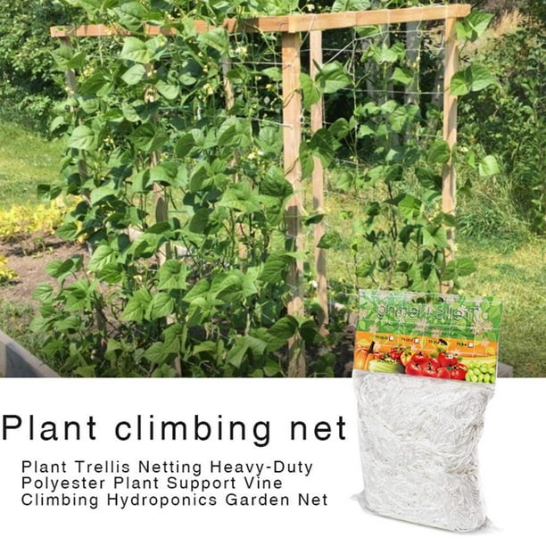 Red de escalada para plantas de jardín, poliéster, vid de uva, soporte para cultivo, red de enrejado