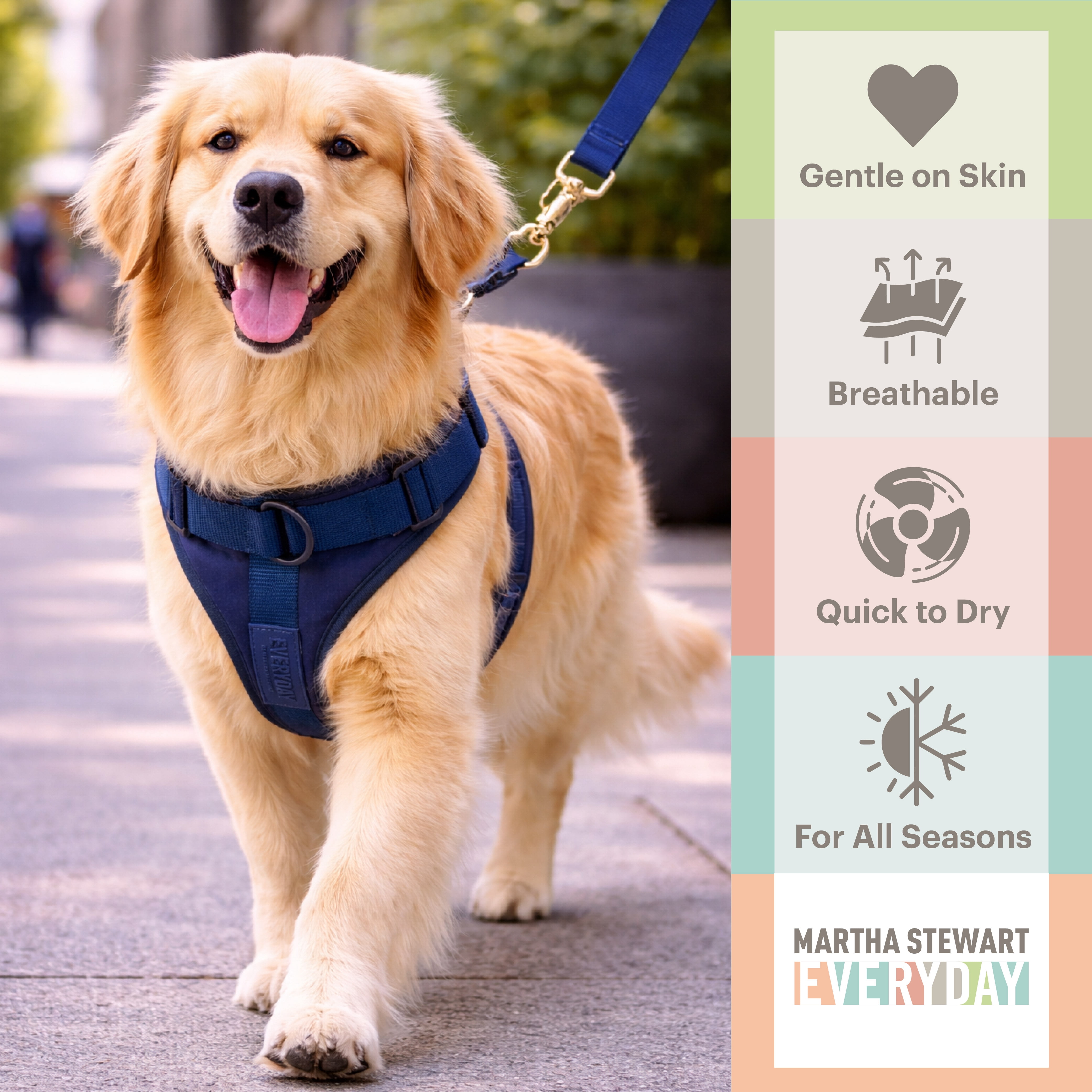 Martha Stewart Neoprene Padded Harness - Navy for Dogs