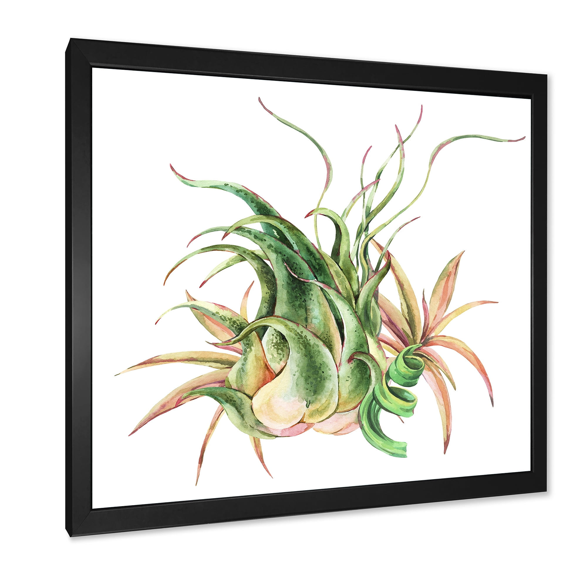 Designart 'Tropical Leaves Air Plant Succulent On White' Farmhouse Framed Art Print