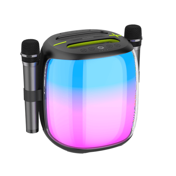 WorryFree Gadgets 100W Wireless Bluetooth Portable Speaker