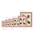 thumbnail image 3 of Bookplate Shells I - Framed Print w/glass - Sunset Pink, 3 of 8