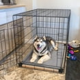 thumbnail image 3 of FXW TitanNest Chew-Proof Elevated Dog Bed, Raised Cot for Indoor/Outdoor/Camping Use, Durable & Washable Padded Pet Bed for Medium Dogs, 41.0" L x 27.0" W x 5.0" H, Gray, 3 of 6