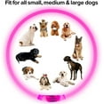 thumbnail image 5 of Led Dog Collar,  USB Rechargeable Flash Dog Necklace Light, Pet Safety Collar Makes Your Beloved Dogs Be Seen at Night for Small Medium Large Dogs(Pink), 5 of 14