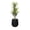 Black, variant on STONE LITE 16.9 Inch Round White Plastic Plant Pot with Drainage Holes