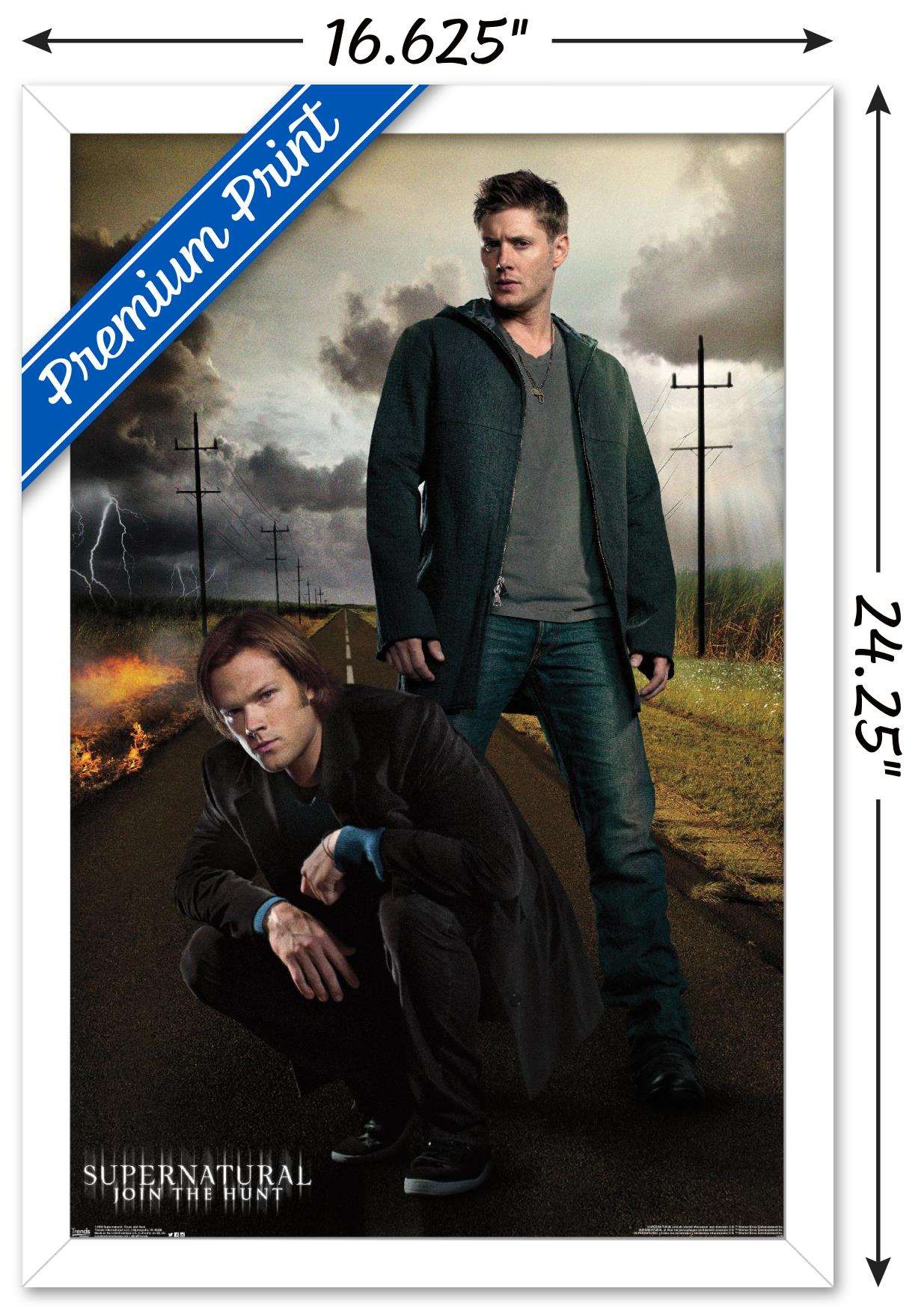 Supernatural - Dean And Sam Wall Poster, 14.725" x 22.375", Framed