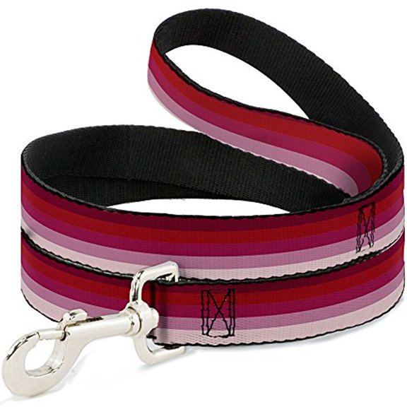 Buckle-Down DL-W21902 Spectrum Pink Dog Leash