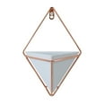 thumbnail image 1 of Coofit Small Wall Planter Geometric Creative Fashion Succulent Planter Wall Decor, 1 of 9