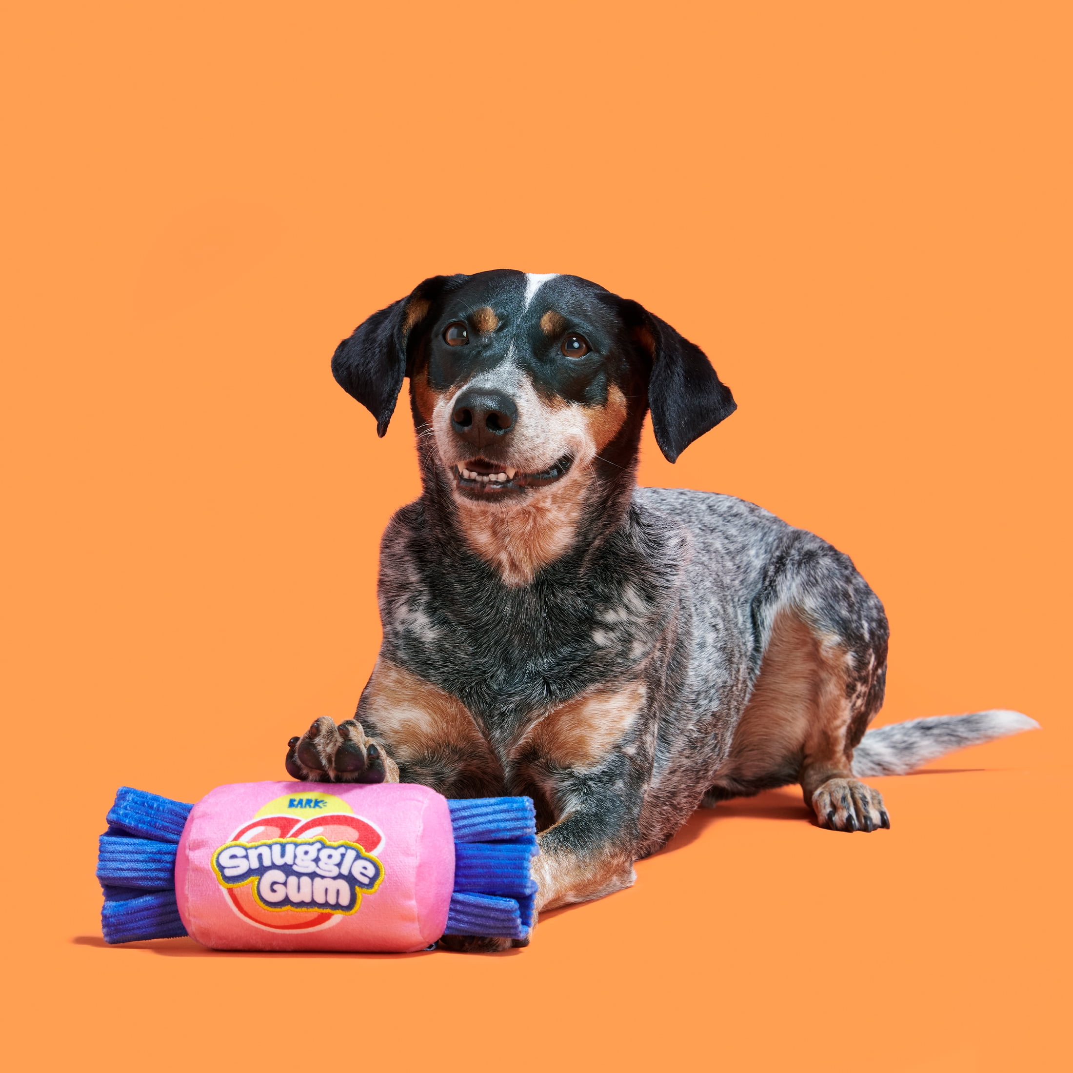 2 X Bark Yankee Doodle Candy Dog Toy 4 Shredders With Bonus Spiky Squeaker  Ball
