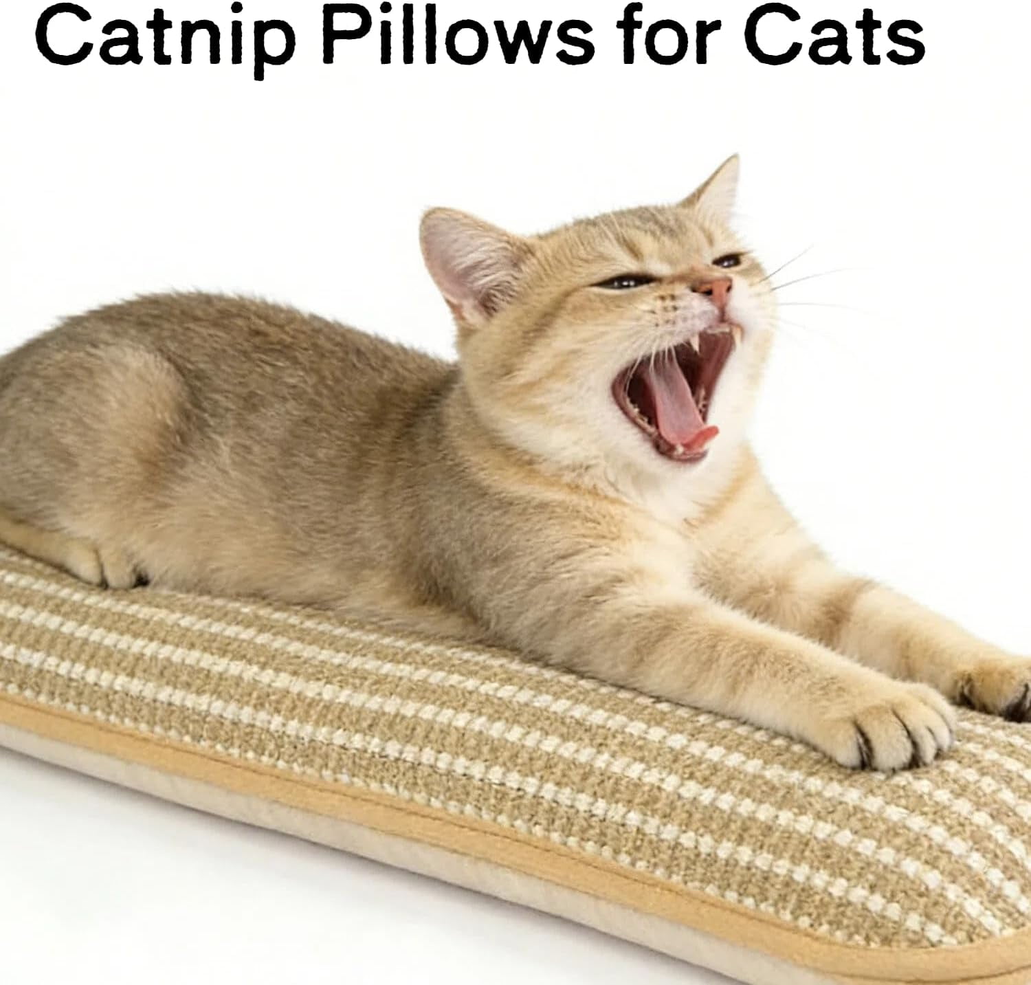 2026 New Interactive Catnip Toy for Indoor Cats - Catnip Pillow Kicker & Scratching Chew Toy, Fun Interactive Play to Relieve Cat Boredom(XX-Large*2)