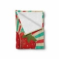 thumbnail image 2 of Fruit Soft Flannel Fleece Throw Blanket, Retro Poster Style Strawberries Colorful Stripes with Grunge Worn out Background, Cozy Plush for Indoor and Outdoor Use, 70" x 90", Multicolor, by Ambesonne, 2 of 6