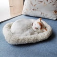 thumbnail image 3 of Dpityserensio Realistic Sleeping Breathing Furry Dog With Mat Animals Decor, 3 of 3