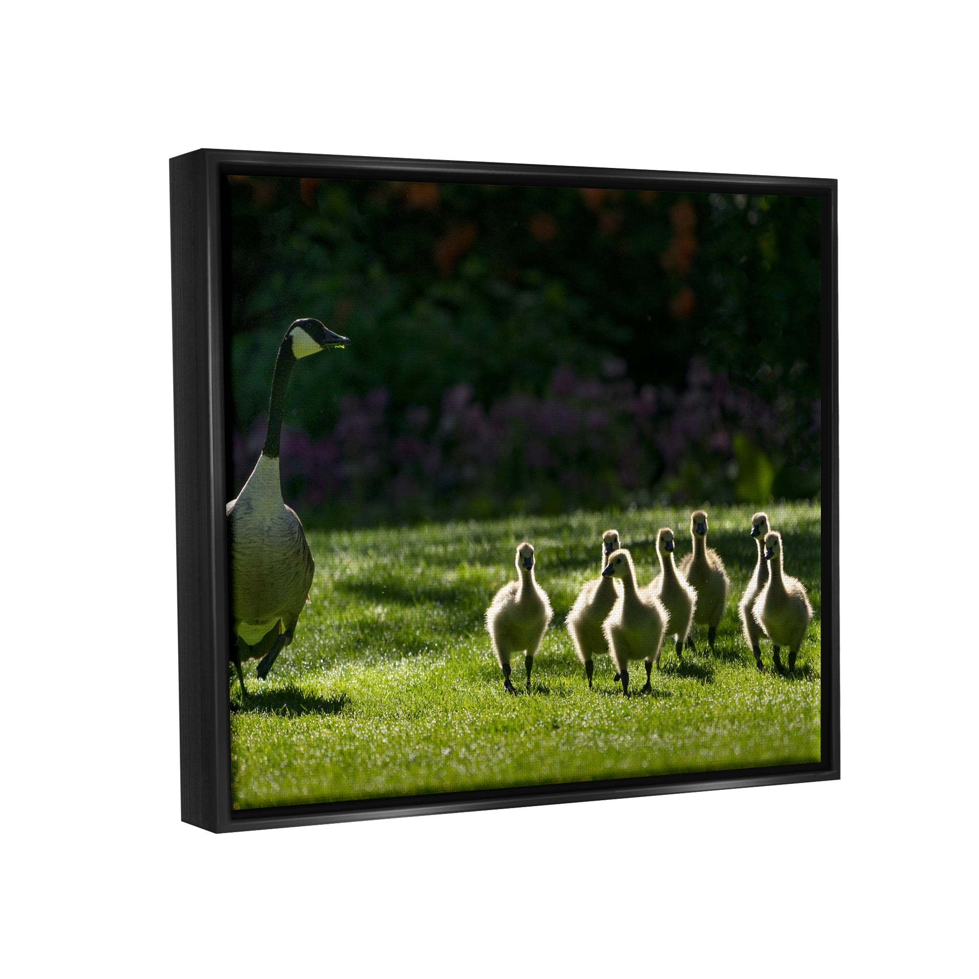 Stupell Industries Goose Family Photography Animals & Insects Photography Black Floater Framed Art Print Wall Art, 21 x 17