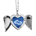 thumbnail image 1 of Amistoso, cálido, hermoso y afortunado. Alas de ángel collar colgante regalo de moda Unbranded M, 1 of 3