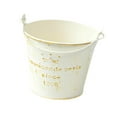 thumbnail image 4 of koolsoo Metal Hanging Flower Pot Multipurpose Rustic Plant Pot for Table Centerpiece Crown Pattern, 4 of 9